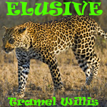 View Album : Elusive E.P.